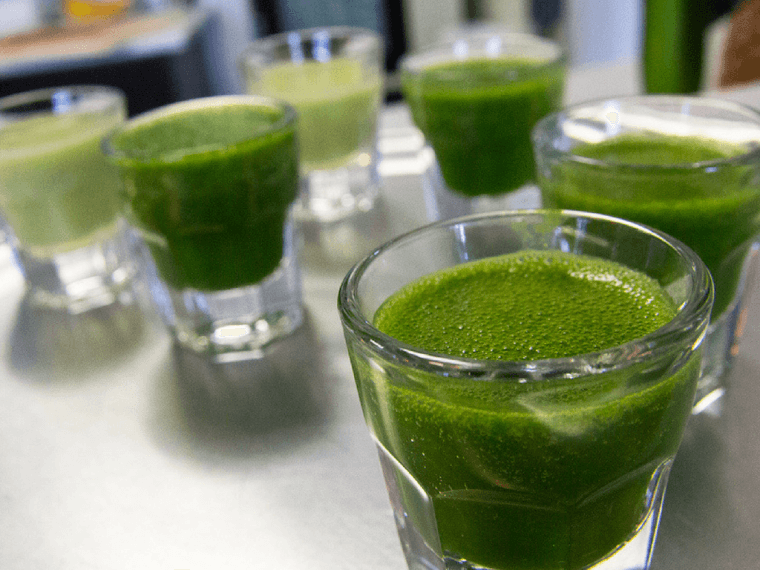 Best juicer for wheatgrass