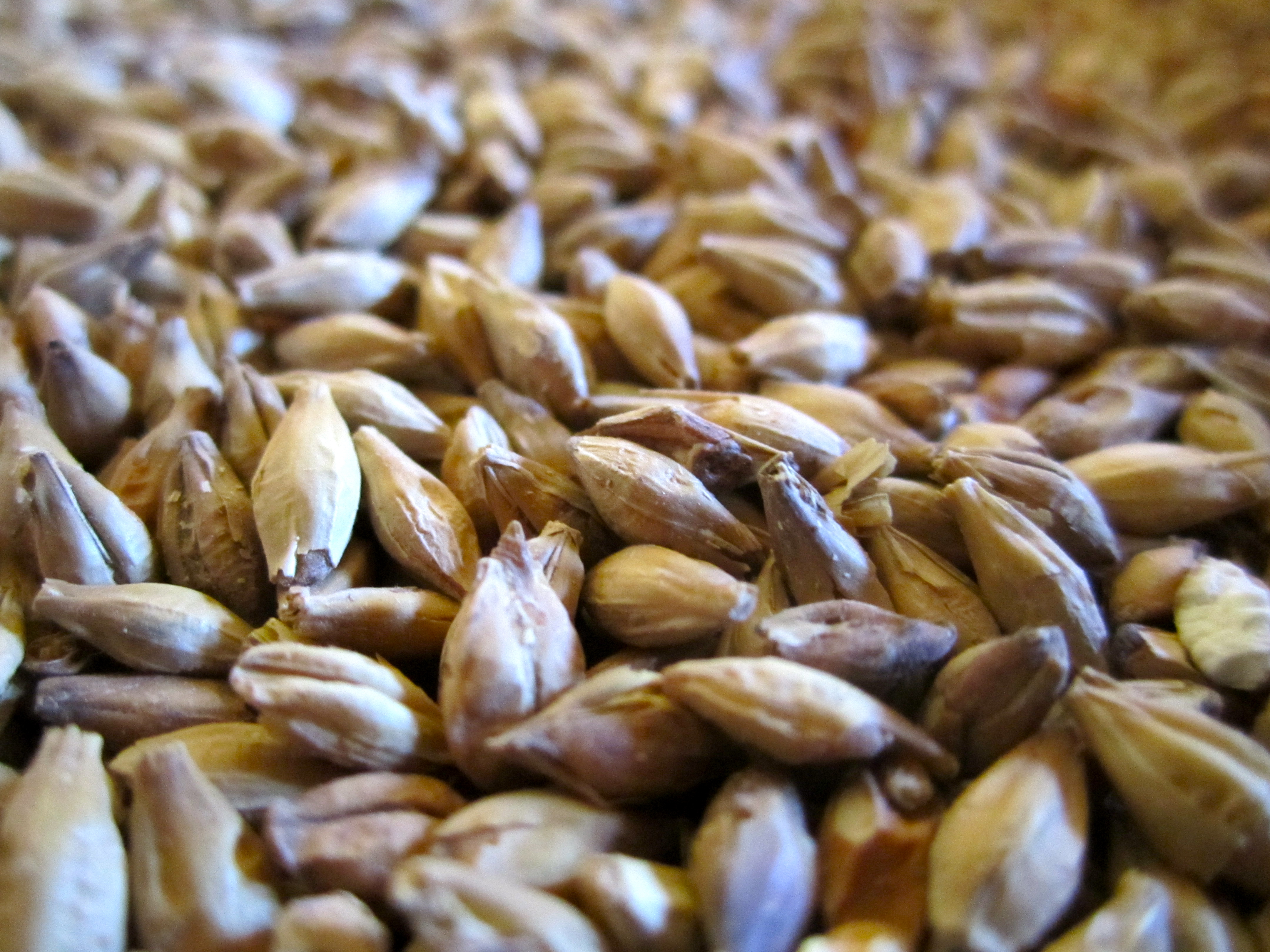 Grains