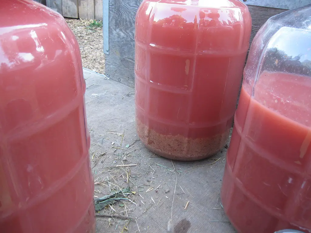 How to make cherry wine at home
