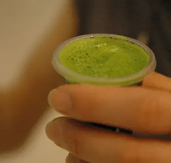 best juicer for wheatgrass