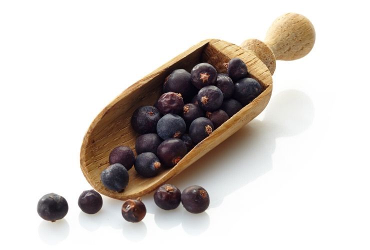 Juniper berries is gin bad for your liver