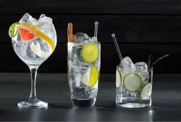 Gin Common gin mixers